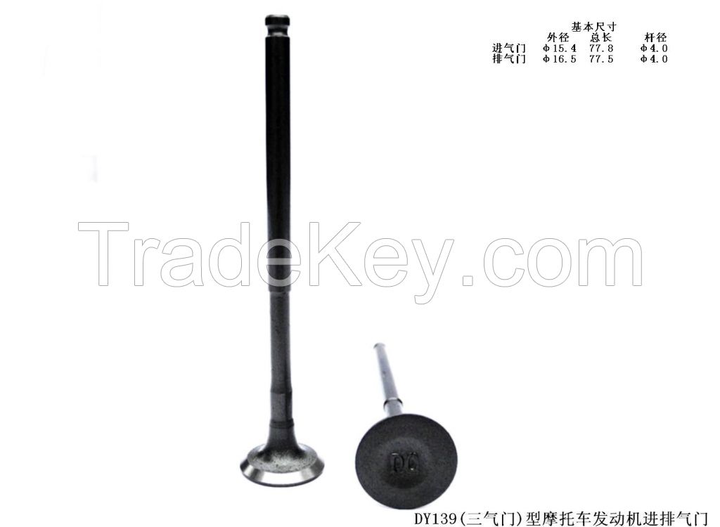 DY139 Type Motorcycle Engine Intake and Exhaust Valves