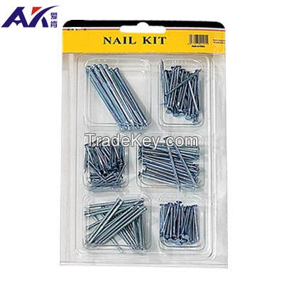 Hot Selling Hardware 160PCS Assorted Stainless Steel Nails Kit Made in