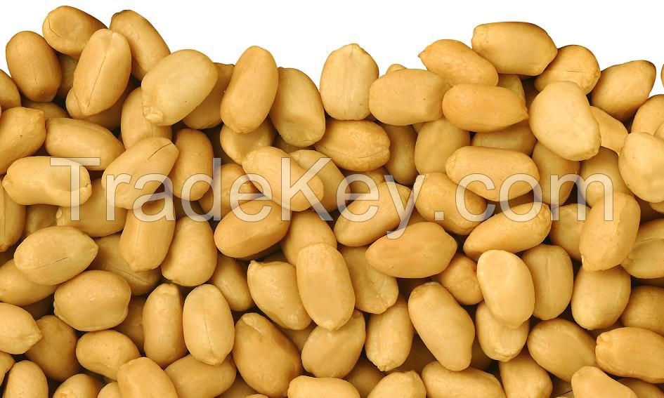 Blanched Peanuts