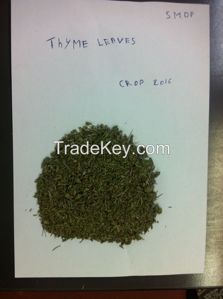 thyme