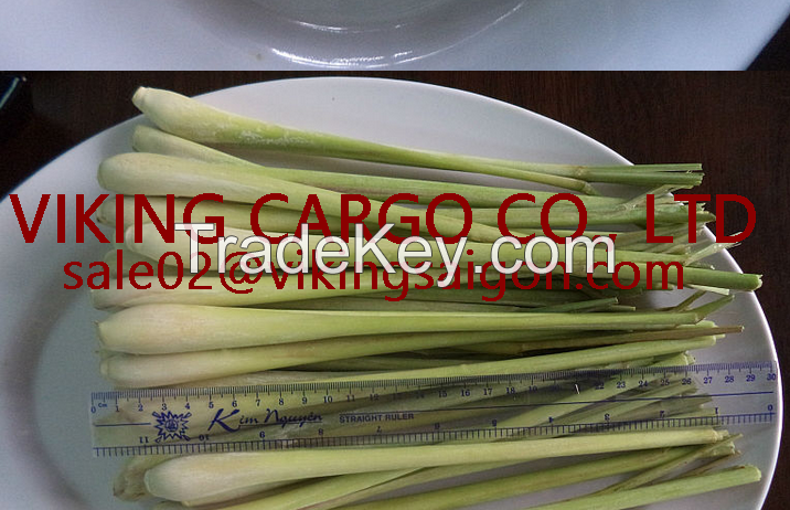 FRESH/ FROZEN LEMONGRASS