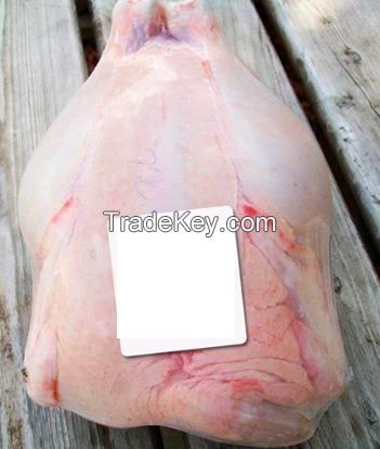 Frozen Whole Chicken