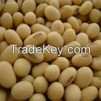 CLEAN NATURAL SOYBEANS (99.9%)