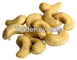 cashew nuts in shell