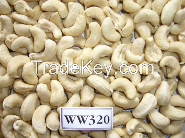 Raw and dried Cashew Nut direct rom Supplier in Asia.