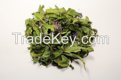 Willow-herb tea