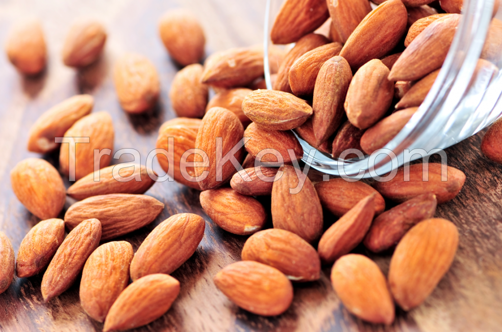 High Quality Raw and Roasted Almond nuts  with Cheap Price