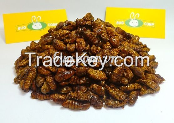 Dried silkworm pupae high quality