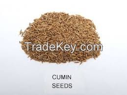 Cumin Seeds