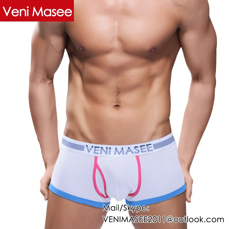 OEM Brand Boxers Shorts Mens Underwear Sexy Briefs for Man - China