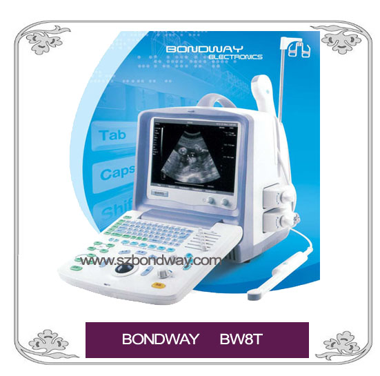 Digital Ultrasound Scanner (Model No.:BW8T)