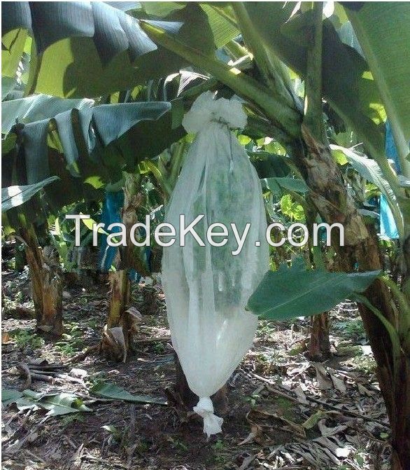 Non-Woven Fabric for fruit Cover