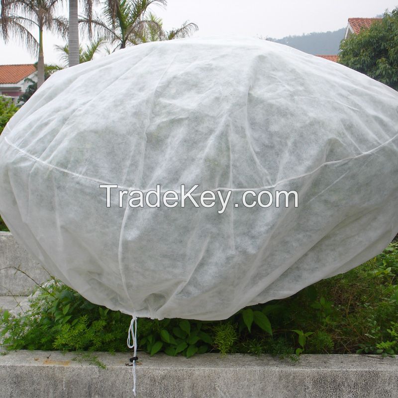 Non-Woven Fabric for fruit Cover