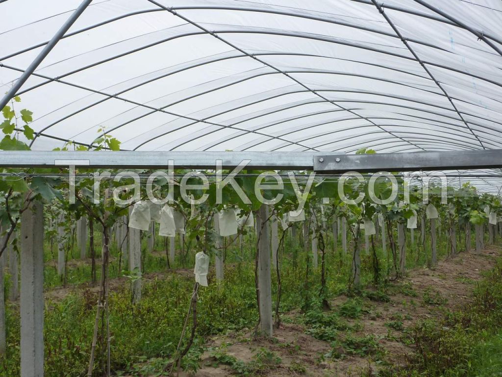 Non-Woven Fabric for fruit Cover