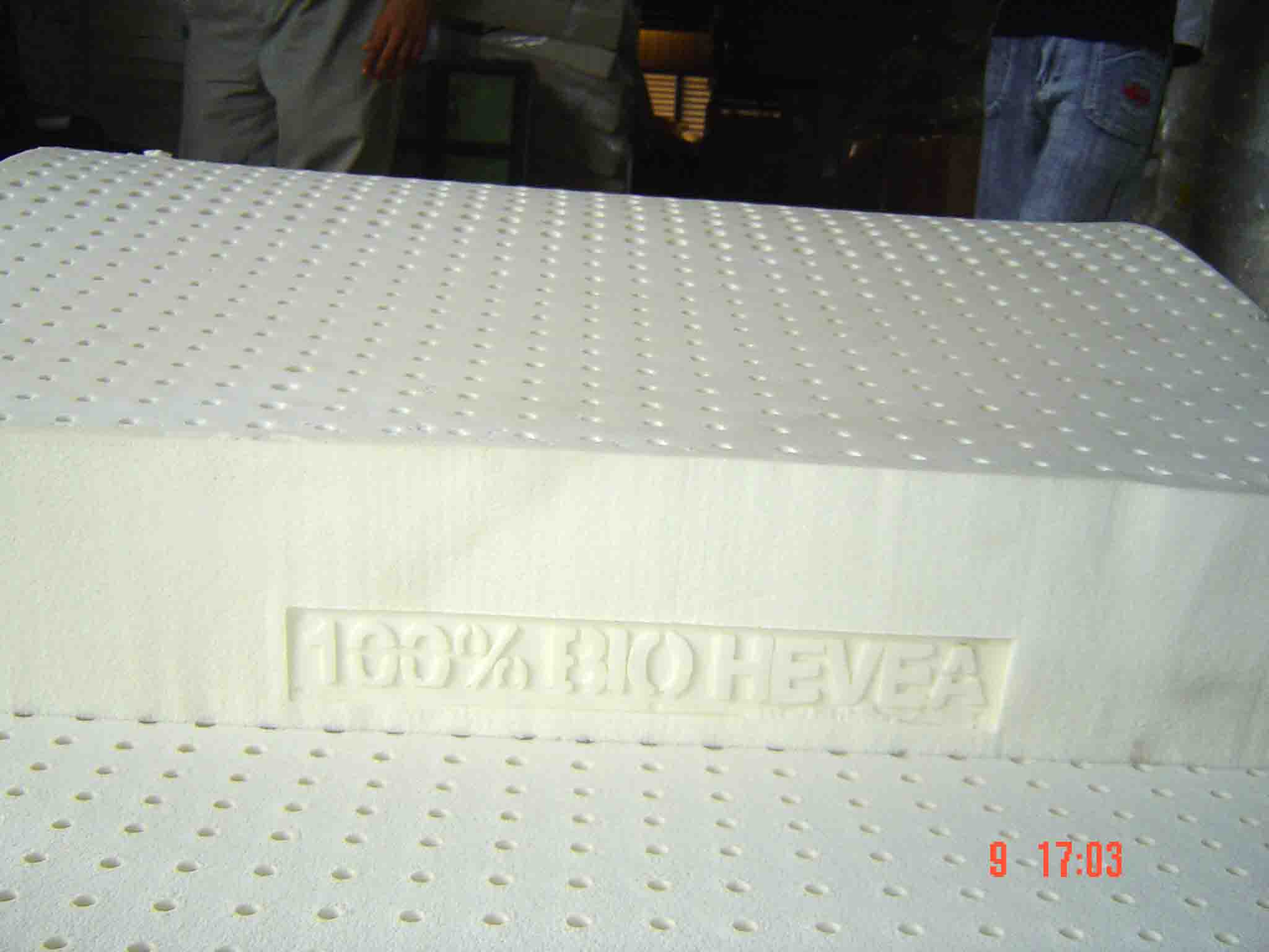 100% Natural Latex Foam Products