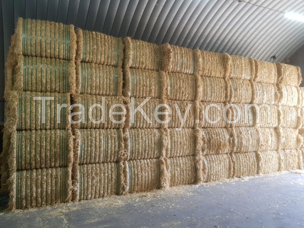 Wheat straw in compressed bales