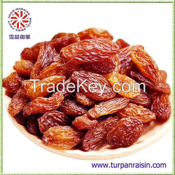 raisin dry fruit