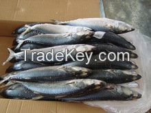 Hot China Products Wholesale Frozen Fish Prices, Fish Food, Frozen Fish