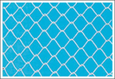 Chain Link Fence