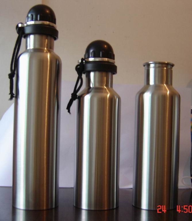 Stainless Steel Sports Bottle