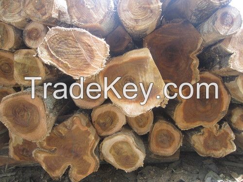 Keruing, Teak, Mersawa Round Logs from Lao and Vietnam