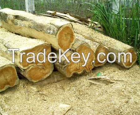 Keruing, Teak, Mersawa Round Logs from Lao and Vietnam