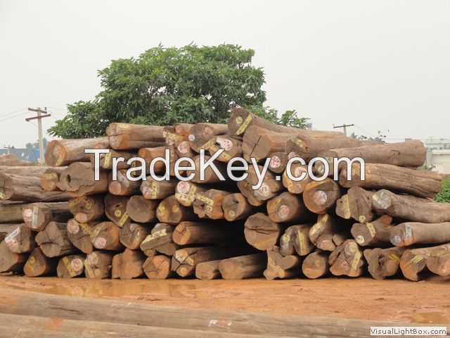 Keruing, Teak, Mersawa Logs from Lao