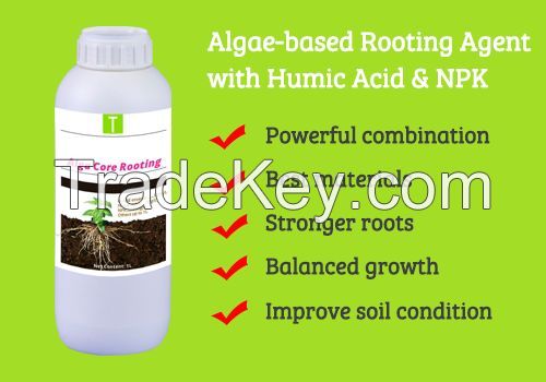 Alga Core Rooting