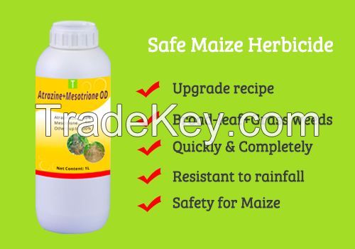 Atrazine 20%+Mesotrione 5% Od