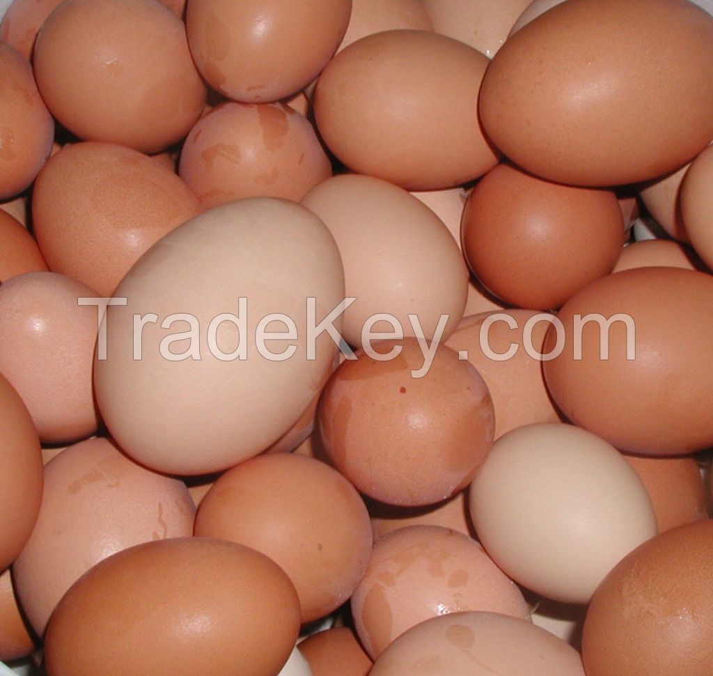  Fresh Table Chicken Eggs ( Brown and White) 