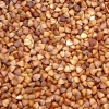 Roasted Buckwheat Kernels