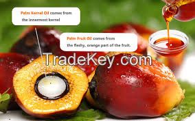 Palm Kernel Oil