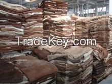 Wet salted and dry salted cow skin