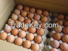 High Fresh Table Eggs Brown And White