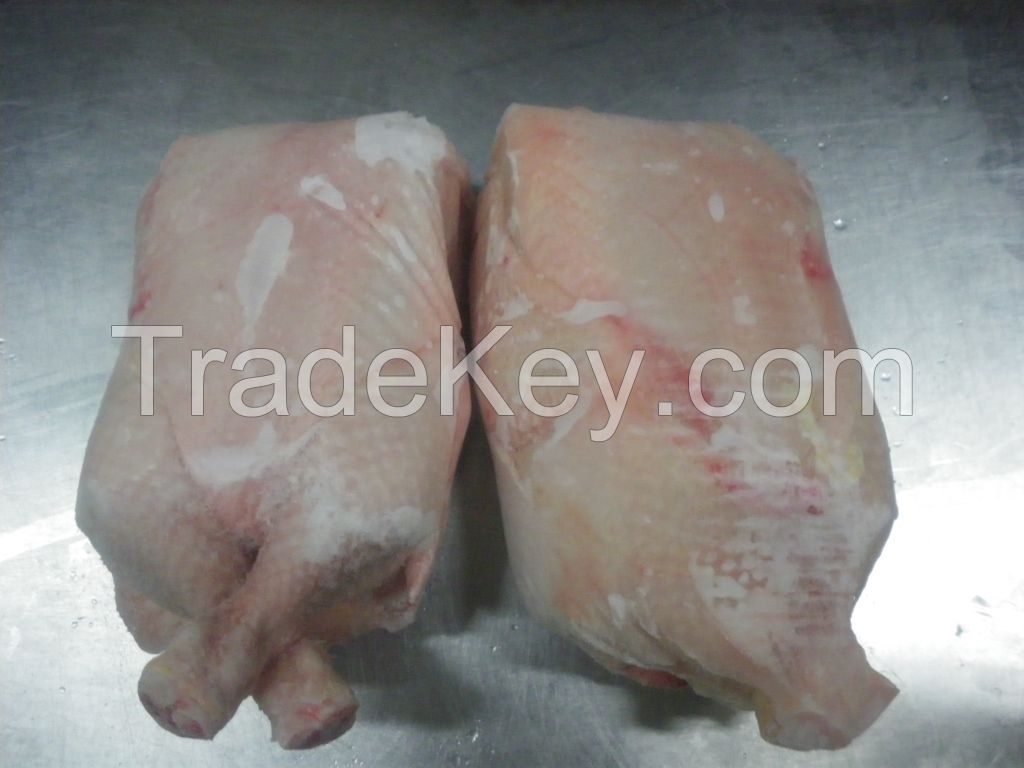 Whole frozen HALAL chicken calibrated in individual bag, packed in the carton