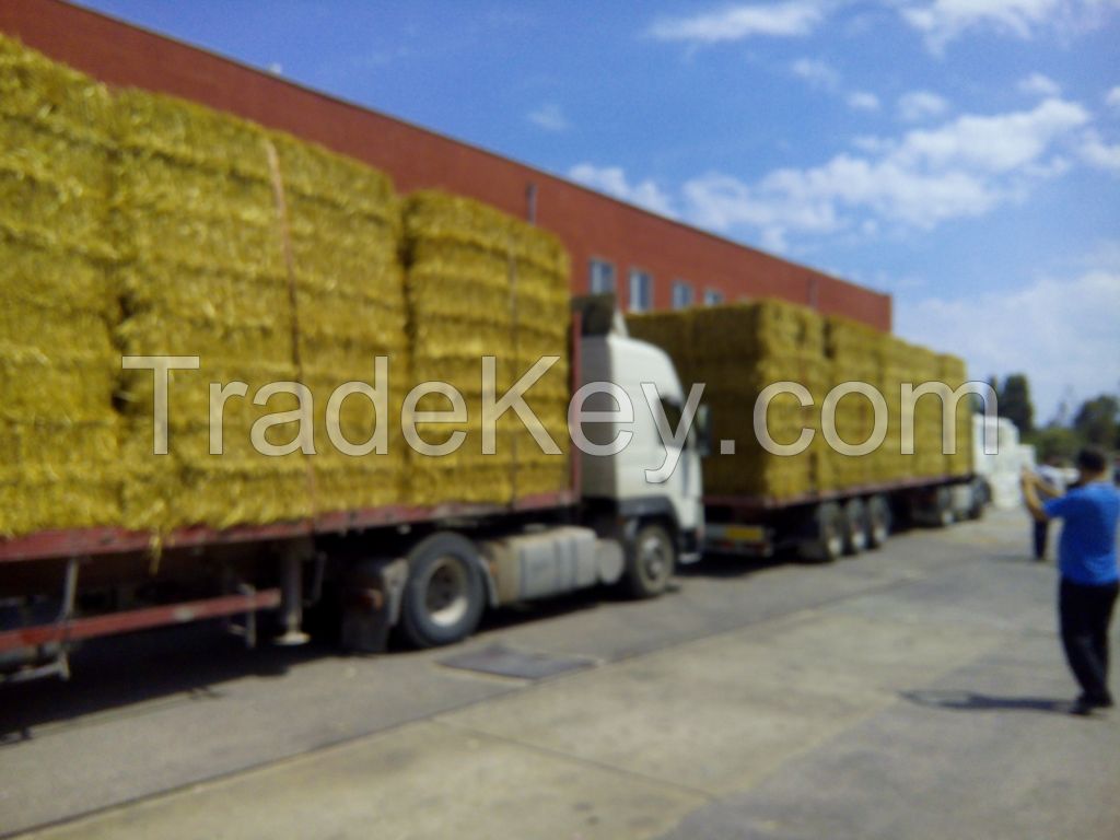 QULITY WHEAT STRAW /BALE /HAY