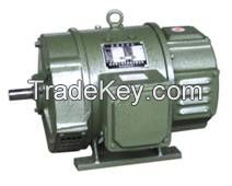 D2 Series DC Motor