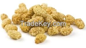 Dried Mulberry