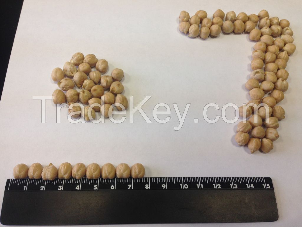 Chickpeas