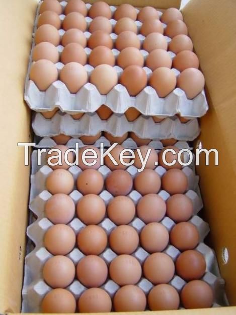 Fresh Chicken Eggs