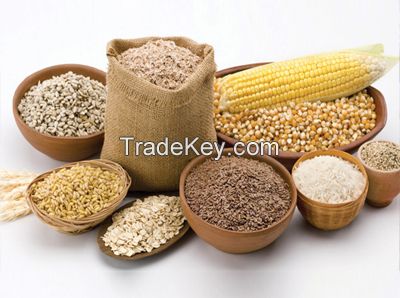 High Quality Ukrainian Corn , Barley and Wheat