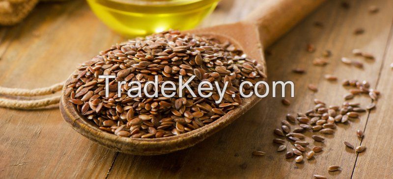 High Quality Ukrainian Flax seed