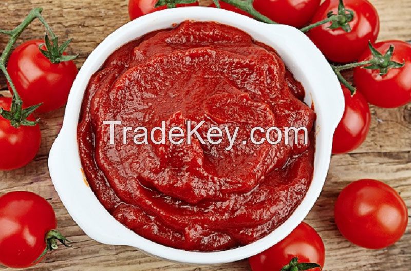 High Quality Ukrainian Tomato Paste Cold Break 24-26%  28-30%  36-38%