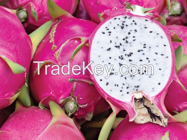 Dragon fruit white/red flesh new crop/Ms.Hanna