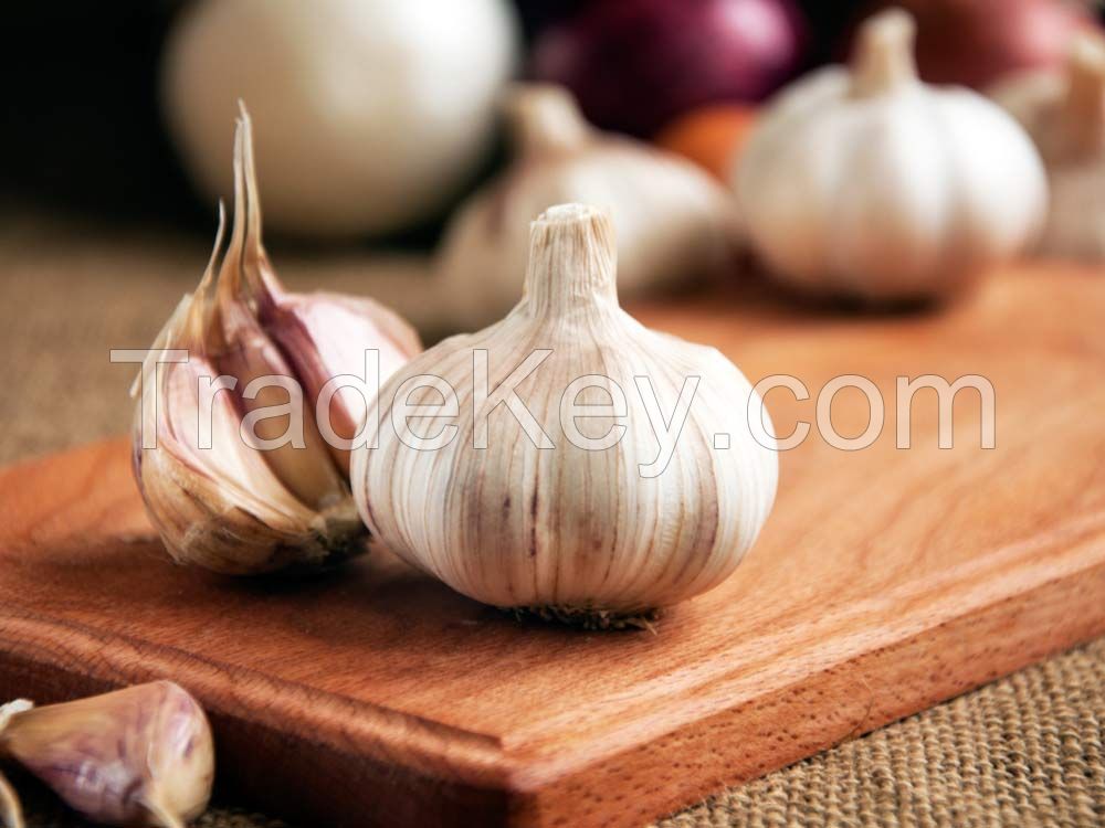  Fesh garlic