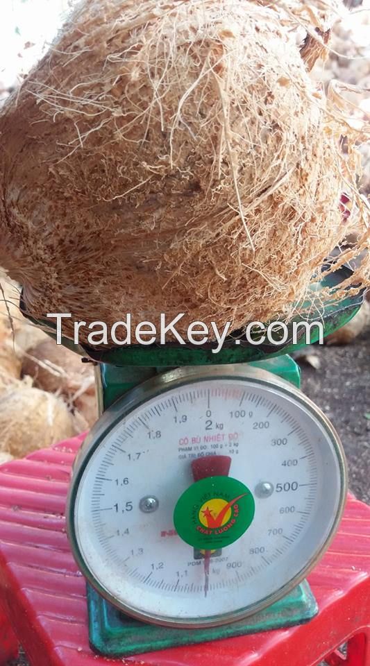 Mature coconut, semi husked mature coconut/ dehusked coconut vietnam Sophia whatsapp +84987364651