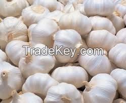 Free Crop Fresh Garlic Grade A Gralic Price  (Ms Anna+84988332914-whatsapp)