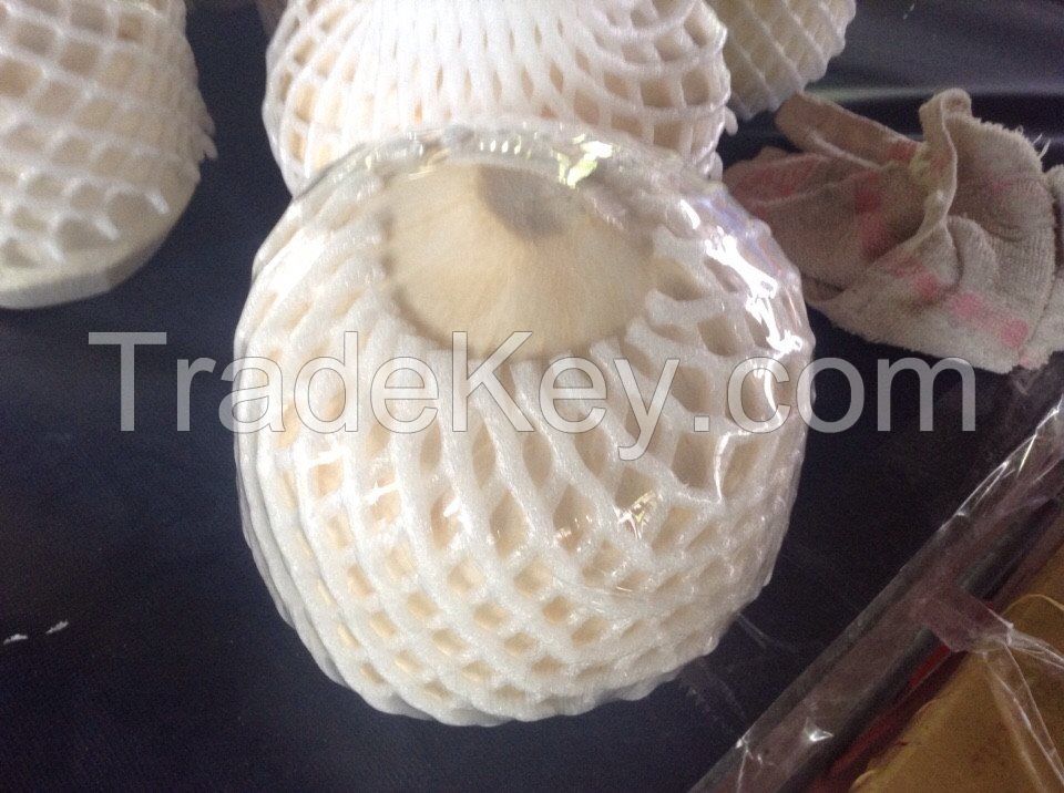 Fresh Coconut Diamond Shape/ Fresh Coconut Vietnam supplier Sophia +84987364651