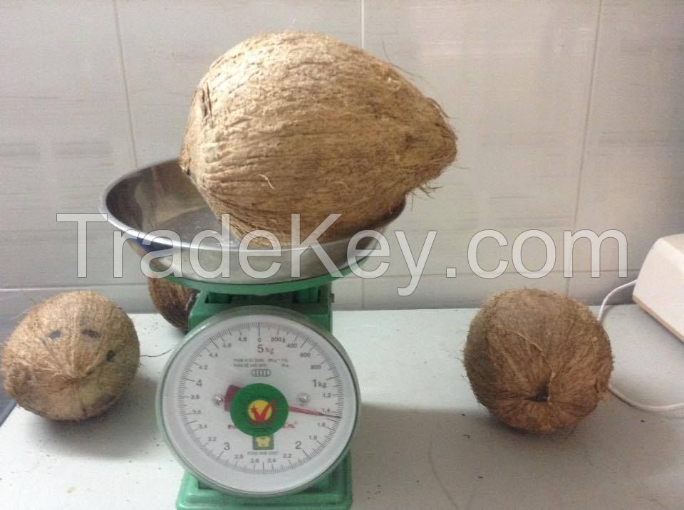 Mature coconut, semi husked mature coconut/ dehusked coconut vietnam Sophia whatsapp +84987364651