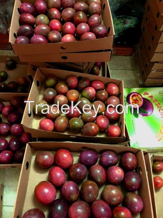 Fresh Dark Purple Passion Fruits Import/Ms.Hanna